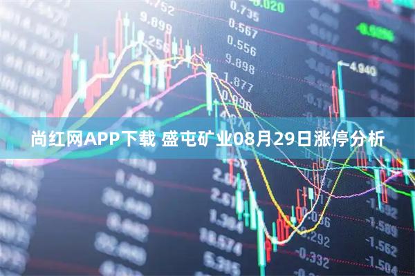 尚红网APP下载 盛屯矿业08月29日涨停分析